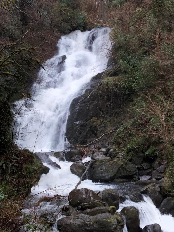 Larkfield House B&B, Ballycasheen Kerry V93 Wd51 Кілларні Екстер'єр фото