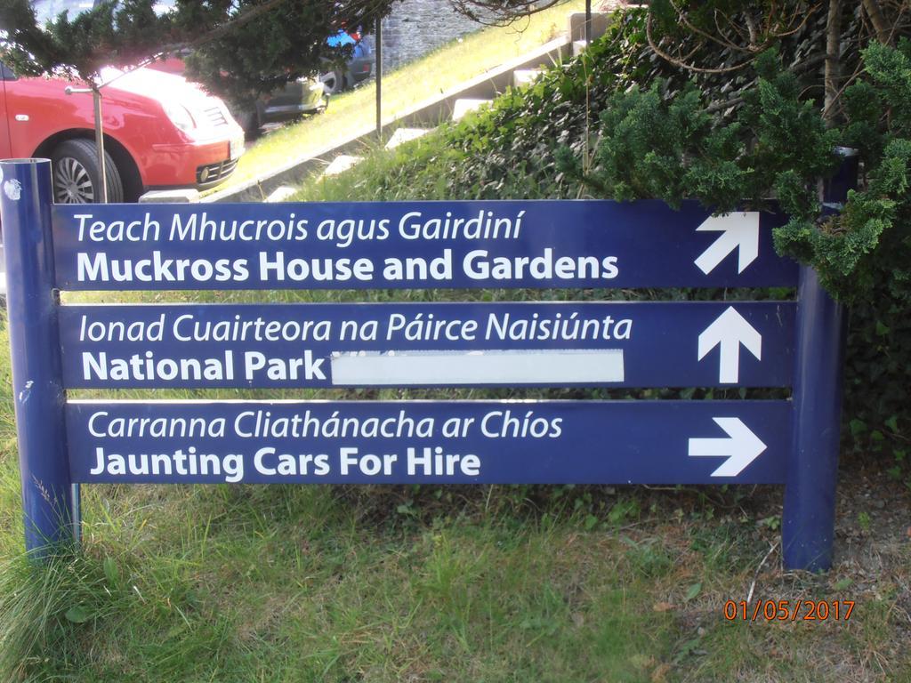 Larkfield House B&B, Ballycasheen Kerry V93 Wd51 Кілларні Екстер'єр фото