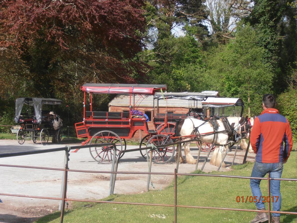 Larkfield House B&B, Ballycasheen Kerry V93 Wd51 Кілларні Екстер'єр фото