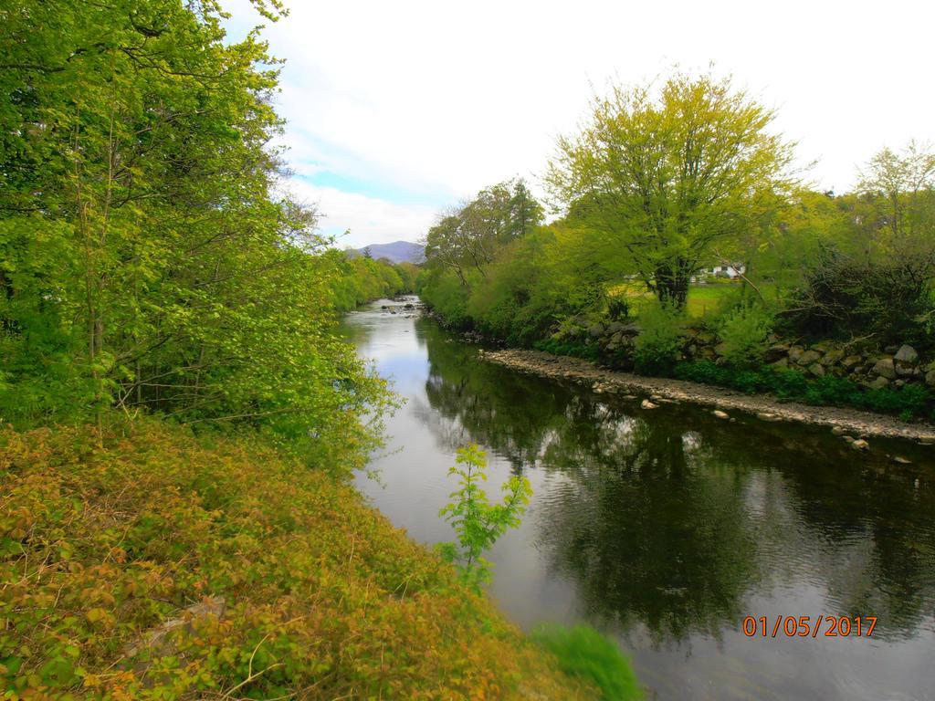 Larkfield House B&B, Ballycasheen Kerry V93 Wd51 Кілларні Екстер'єр фото