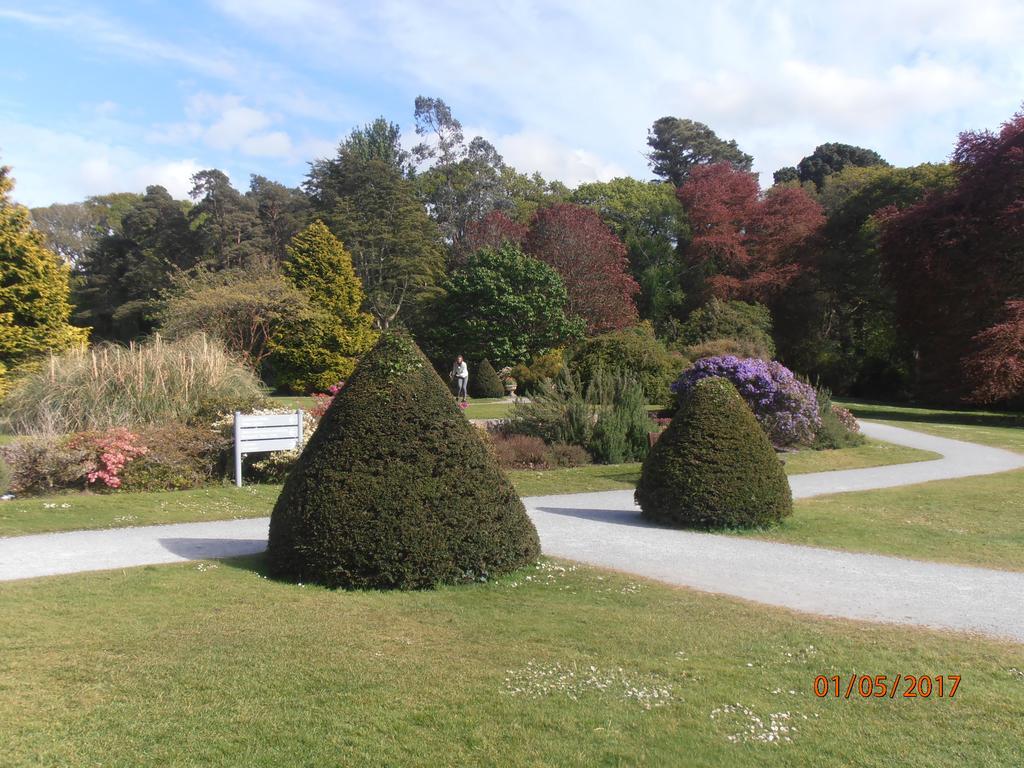 Larkfield House B&B, Ballycasheen Kerry V93 Wd51 Кілларні Екстер'єр фото