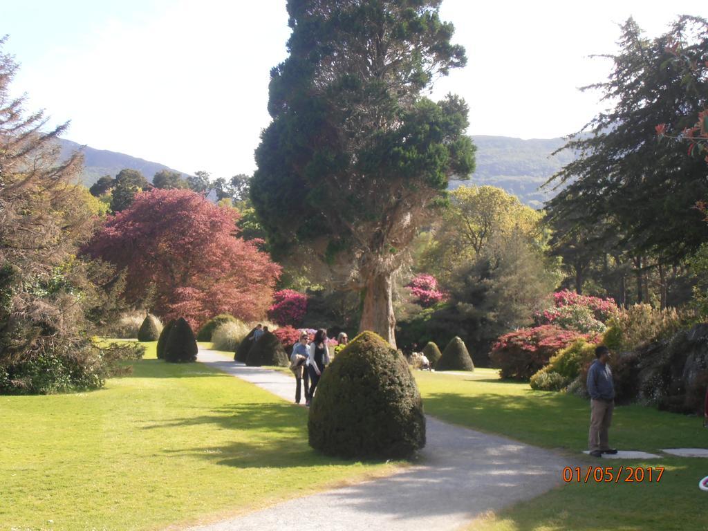 Larkfield House B&B, Ballycasheen Kerry V93 Wd51 Кілларні Екстер'єр фото